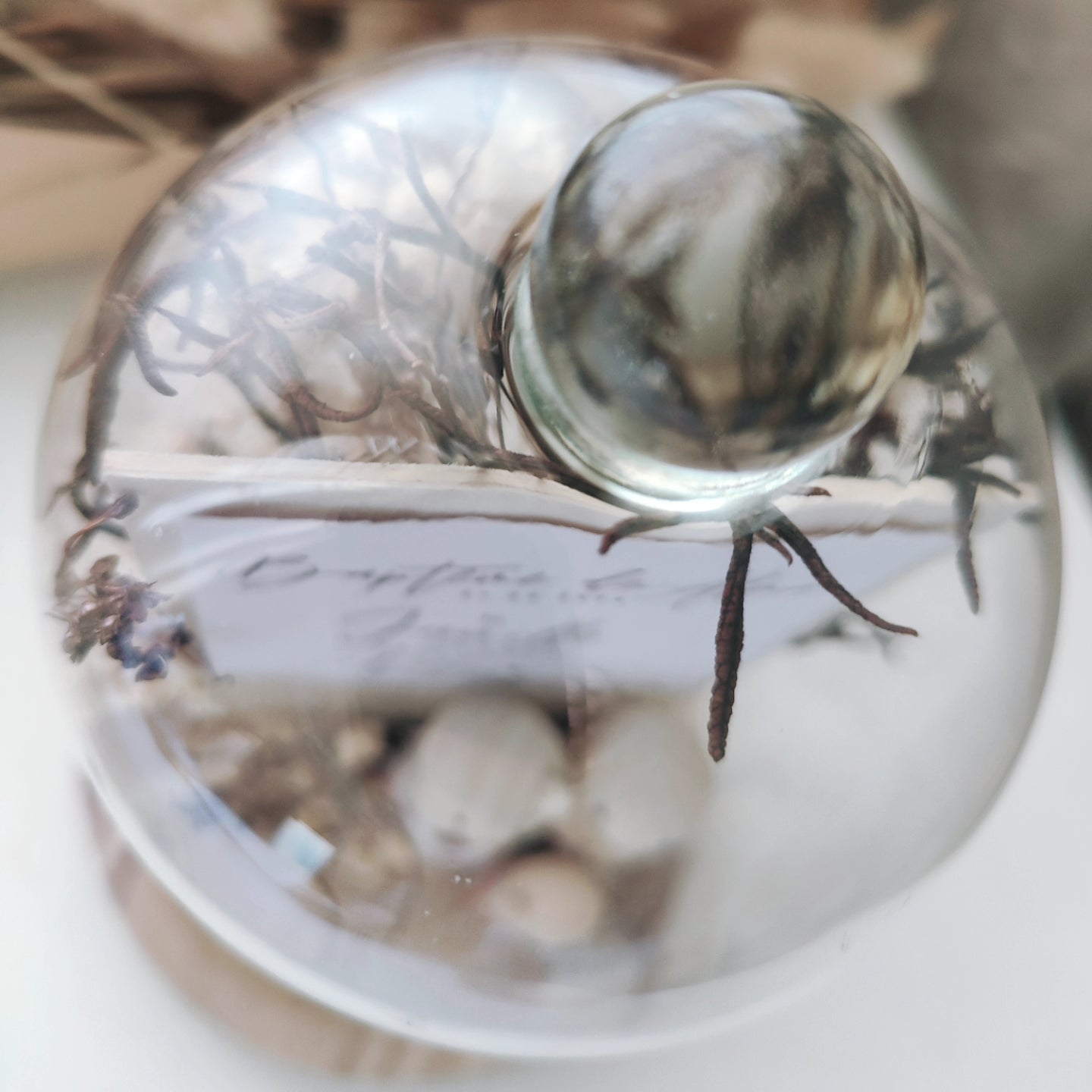 Cloche - Naissance | Baptême